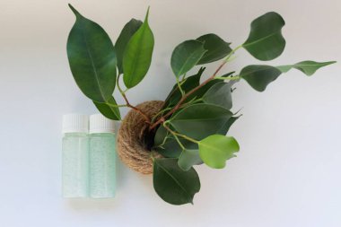 Jute Pot Doğal Kozmetik, Tazelik ve Çevre Bakımı Sembolü 'nde Yeşil Bitkinin Yanında Mavi Jel ile İki Şeffaf Şişe