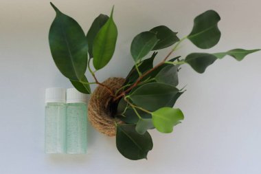 Jute Pot Doğal Kozmetik, Tazelik ve Çevre Bakımı Sembolü 'nde Yeşil Bitkinin Yanında Mavi Jel ile İki Şeffaf Şişe