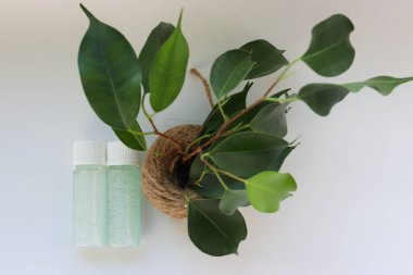 Jute Pot Doğal Kozmetik, Tazelik ve Çevre Bakımı Sembolü 'nde Yeşil Bitkinin Yanında Mavi Jel ile İki Şeffaf Şişe