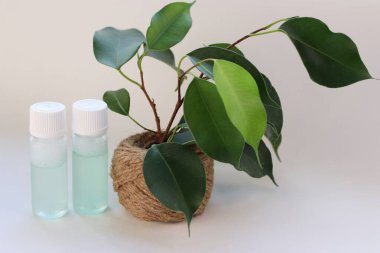 Jute Pot Concept of Natural Cilt ve Çevre dostu güzellikte Yeşil Bitkinin yanında iki şeffaf şişe.