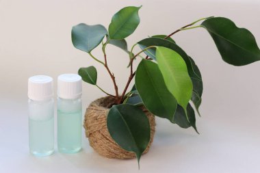 Jute Pot Concept of Natural Cilt ve Çevre dostu güzellikte Yeşil Bitkinin yanında iki şeffaf şişe.