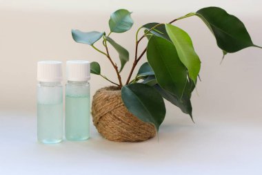 Jute Pot Concept of Natural Cilt ve Çevre dostu güzellikte Yeşil Bitkinin yanında iki şeffaf şişe.