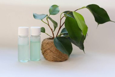 Jute Pot Concept of Natural Cilt ve Çevre dostu güzellikte Yeşil Bitkinin yanında iki şeffaf şişe.