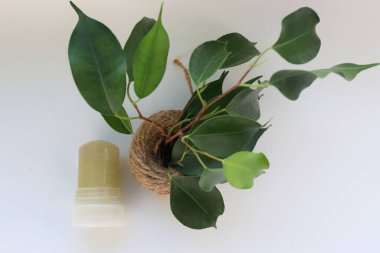 Beyaz Arkaplanda Yeşil Yapraklı Mineral Kristal Deodorant Yapıştırıcısı Günlük Bakım İçin Çevre dostu ve Doğal Seçim