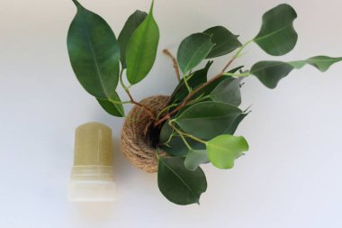 Beyaz Arkaplanda Yeşil Yapraklı Mineral Kristal Deodorant Yapıştırıcısı Günlük Bakım İçin Çevre dostu ve Doğal Seçim