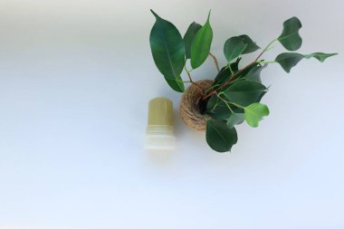 Beyaz Arkaplanda Yeşil Yapraklı Mineral Kristal Deodorant Yapıştırıcısı Günlük Bakım İçin Çevre dostu ve Doğal Seçim