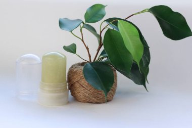 Beyaz Arkaplanda Doğal Mineral Deodorantı Yeşil Yapraklar Çevre dostu ve Güvenli Alternatif
