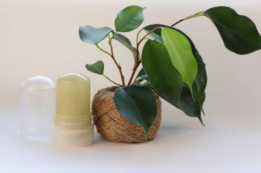 Beyaz Arkaplanda Doğal Mineral Deodorantı Yeşil Yapraklar Çevre dostu ve Güvenli Alternatif