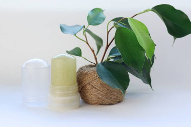 Beyaz Arkaplanda Doğal Mineral Deodorantı Yeşil Yapraklar Çevre dostu ve Güvenli Alternatif