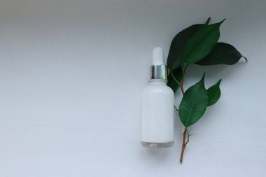 Beyaz arka planda damlatıcısı olan kozmetik serumu şişesi doğal organik cilt konsepti güzellik reklamcılığı, sağlık markası ve çevre dostu tasarım için.