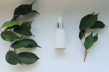 Kozmetik Serum Şişe ve Yeşil Yapraklı Minimalist Kompozisyon Doğal Cilt, Organik Güzellik ve Çevre dostu Konsept