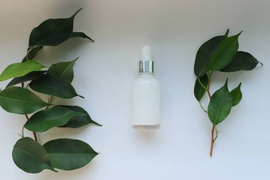 Kozmetik Serum Şişe ve Yeşil Yapraklı Minimalist Kompozisyon Doğal Cilt, Organik Güzellik ve Çevre dostu Konsept