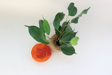 Yeşil dekoru olan doğal kırmızı lifli sabun. Minimalist tarzda çevre dostu cilt bakımı.