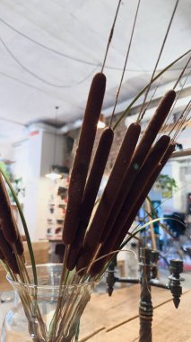 İç tasarım, eko-temalı görseller, kafein dekoru, bloglar veya reklam modelleri için doğa ve mimarinin endüstriyel stil iç karışımına (Typha) karşı yakın çekim