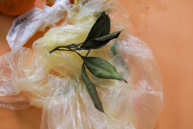 Şeftali arka planında kurumuş portakal yaprakları olan çöp poşeti. Yüksek kalite fotoğraf