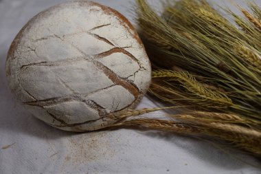 Mısır kulaklı beyaz masa örtüleri üzerinde taze pişmiş ekmek. en üstteki ekmek