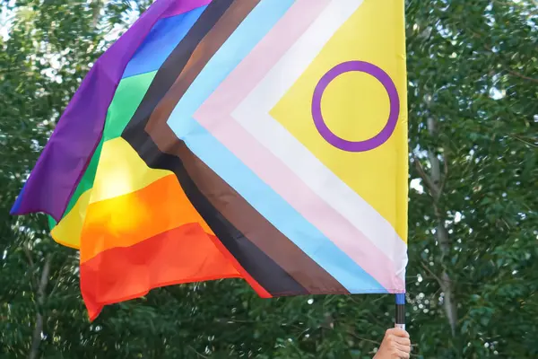 LGTBIQ + bayrağı rüzgarda sallanıyor ve arka planda ağaçlar var