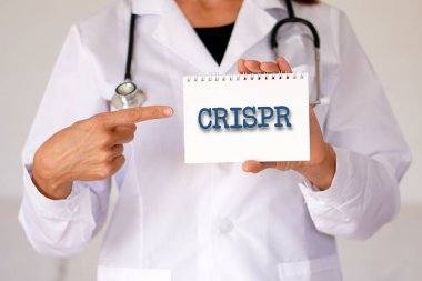 Cips konsepti. Defterinde bu moleküler aletin kısaltması olan kadın doktor.