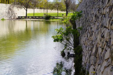 seyahat ve tatil. Yüzme alanı ve piknik alanı olan nehir gevşeme alanı