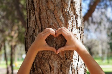 Ekoloji, çevre ve doğa sevgisi. Elleri bir ağacın gövdesinde kalp oluşturan çocuk..