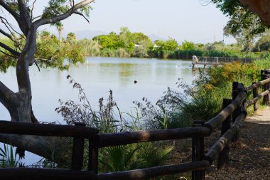 İspanya 'nın Akdeniz kıyısındaki Nules, Castellon' da yürüyüş ve tatil köyleri.