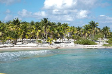 Kosta Maya, Meksika 'nın tropikal kıyıları, yüksek palmiye ağaçlarıyla kaplı el değmemiş bir sahili gözler önüne seriyor. Kristal berraklığında turkuaz sular, beyaz kumda nazikçe tur atar. Huzurlu ve huzurlu bir ortam yaratır. Rahatlamak için mükemmel bir ortam..