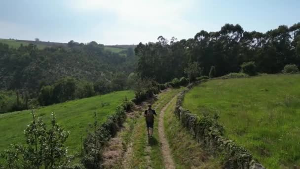 Sırt Çantalı Bir Adam Dağ Yolunda Yürüyor Dağlık Araziye Yeşil — Stok video