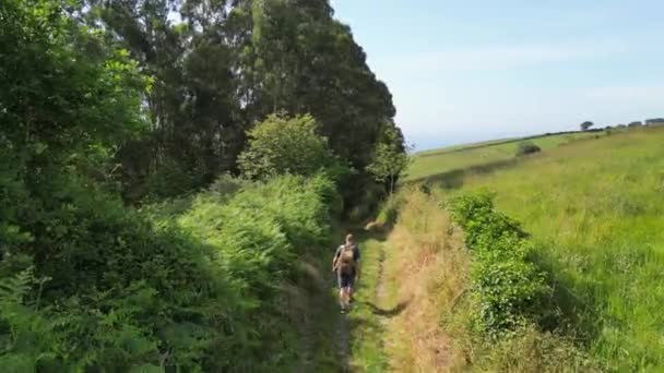 Hombre Con Mochila Caminando Por Sendero Montaña Admira Paisaje Montañoso — Vídeos de Stock