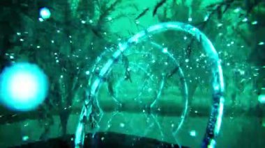 Ormandaki ağaçların ışıklarıyla soyut arkaplan