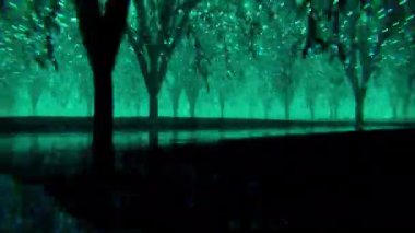 Ormandaki ağaçların ışıklarıyla soyut arkaplan