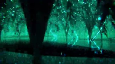 Ormandaki ağaçların ışıklarıyla soyut arkaplan