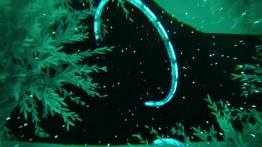 Ormandaki ağaçların ışıklarıyla soyut arkaplan