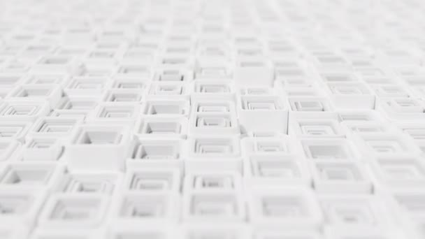 Cubes Géométriques Formes Couleur Blanc Gris Lisse Séquences — Video