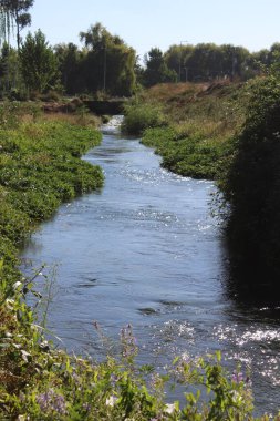 Bir çiçek resmi Arst olmuş bir meyve 