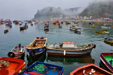 Kaleta Tumbes, Concepcin, Şili 'de yaşayan bir balıkçının fotoğrafı