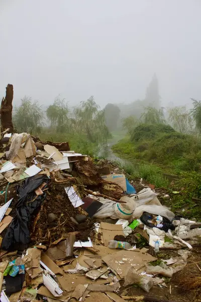 Imppacto de la basura en la vida de las personas