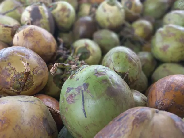 Hindistan cevizi markette lezzetlidir.