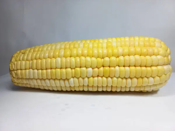 Beyaz arkaplanda mısır koçanları