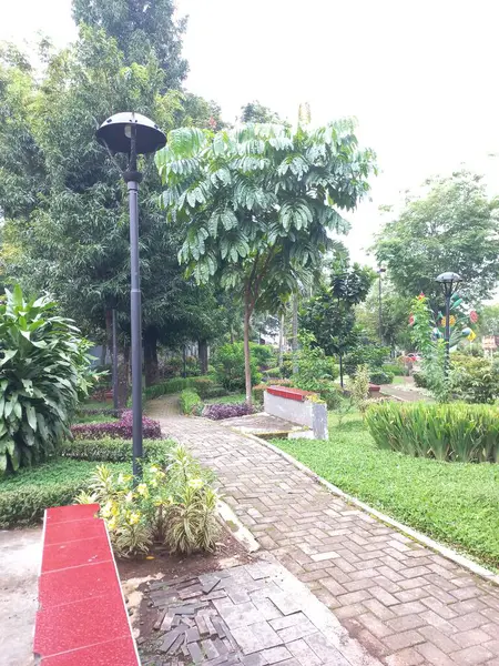 Central Java, Endonezya 'daki güzel şehir parkı. Sokak lambaları, kaldırımlar, ağaçlar, yeşillikler ve çimenler. Doğa fotoğrafçılığı kavramı.