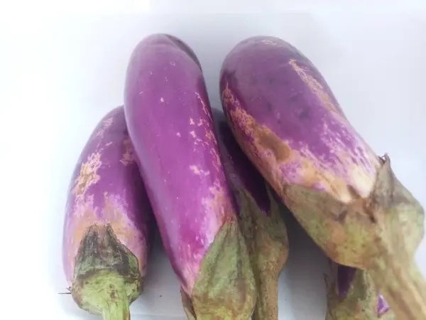 Beyaz arka planda izole edilmiş taze mor patlıcan. Kapatın. Seçici odaklanma. Uzayı kopyala Birçok faydası olan sağlıklı sebzelerin konsept fotoğrafı.