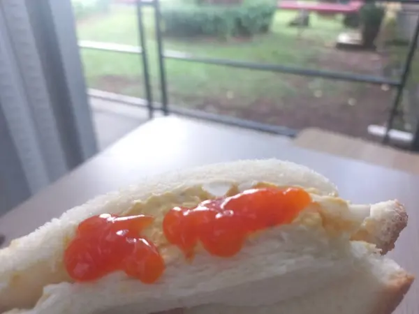 Bulanık arka planda soslu yumurtalı sandviç. Yemek fotoğrafçılığı konsepti. Kapatın. Uzayı kopyala Seçici odak.