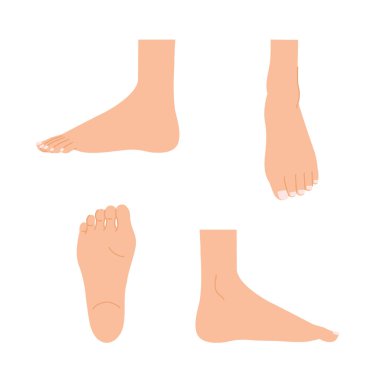 Kadın ayakları: ayak vücut parçaları ayarlandı (taban, üst, yan)