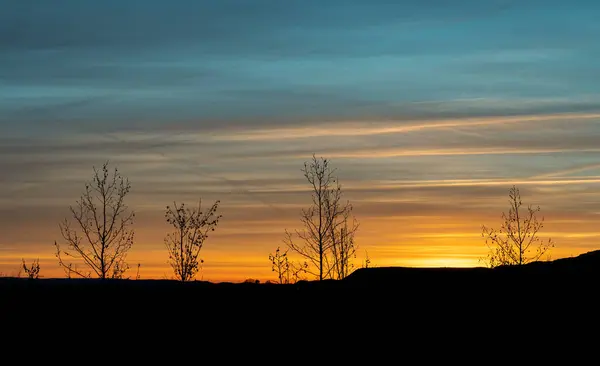 Dağlarda gün batımı, kışın ağaçlarla kaplı sarı gökyüzü.