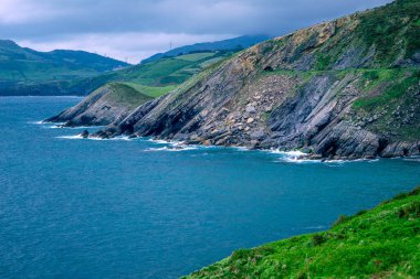İspanya 'nın kuzeyindeki yabanda sineğin güzel bir manzarası var.