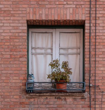 Bitkilerle dolu tuğla bir duvarda bir pencere ve güvercinleri tehdit eden bir baykuş heykeli.
