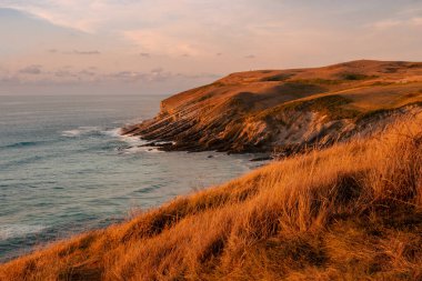 Deniz kenarında gün batımında, bir yaz gününde. İspanya 'nın kuzeyinde sarımsı çayırlar var.