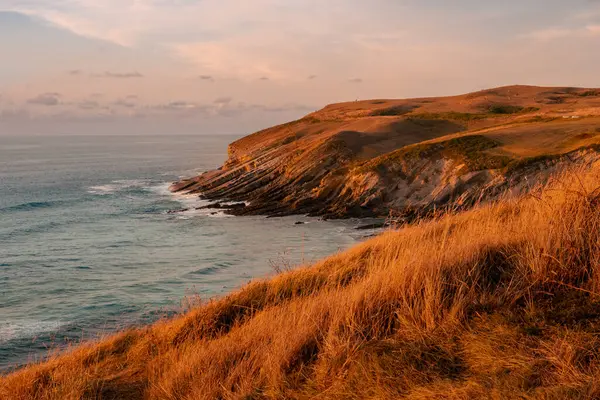 Deniz kenarında gün batımında, bir yaz gününde. İspanya 'nın kuzeyinde sarımsı çayırlar var.