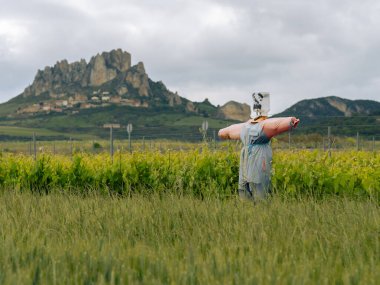 Scarecrow in the fields, vineyards and mountains in the background clipart