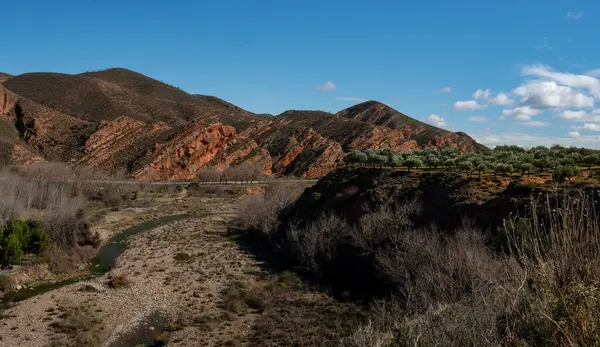 İspanya 'nın kuzeyindeki zeytin ağaçlarının manzarası. La Rioja. Arnedillo