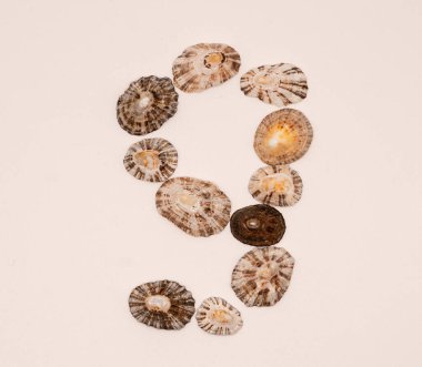 Number 9 made with seashells on white background clipart